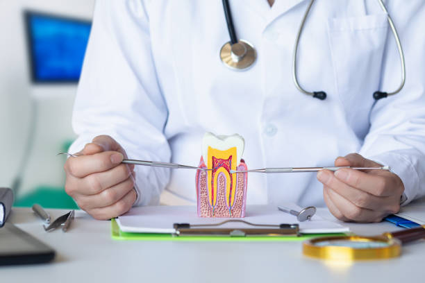 Best Emergency Denture Repair in East Rockingham, NC